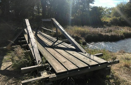 A weathered wooden bridge over a small stream, surrounded by tall grass and trees under a bright sky.