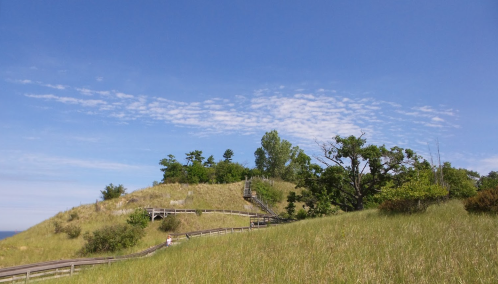 A grassy hill with a wooden path winding up, surrounded by trees under a blue sky with scattered clouds.