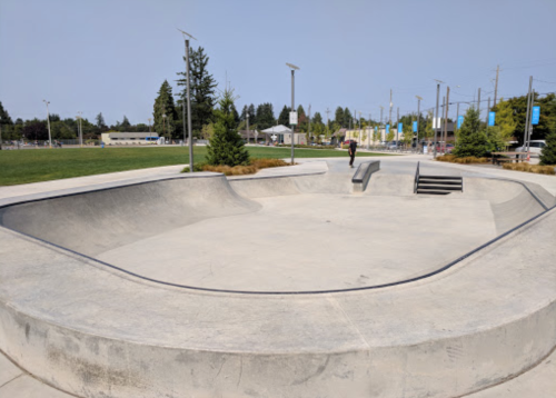 A skatepark with smooth concrete ramps and a flat area, surrounded by grass and trees under a clear blue sky.