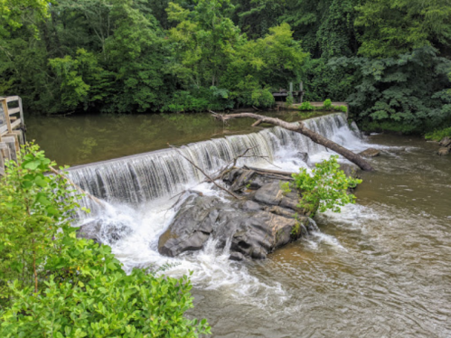 A serene waterfall cascading over rocks, surrounded by lush green trees and foliage.