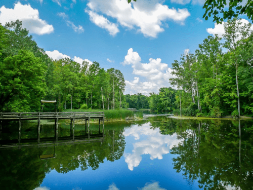 A serene river scene with lush greenery, a wooden dock, and fluffy clouds reflecting on the calm water.