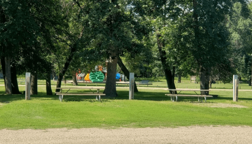 A park scene featuring green grass, trees, and picnic tables, with a colorful playground visible in the background.