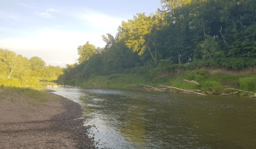 A serene riverbank scene with lush greenery and trees lining the water's edge under a clear sky.