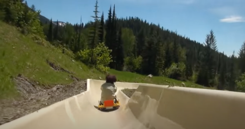 A person rides a small sled down a winding track through a lush, green forest on a sunny day.