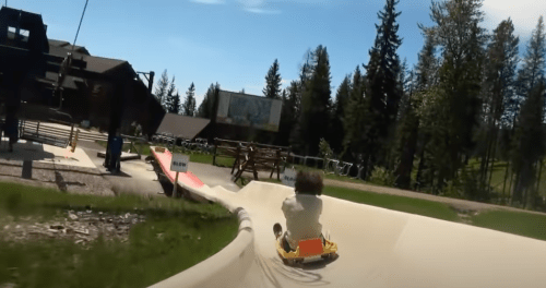 A person rides a summer slide through a scenic outdoor area with trees and a lodge in the background.