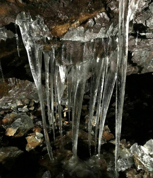 Icicles hang from a rocky ceiling in a dark cave, reflecting light and creating a shimmering effect.