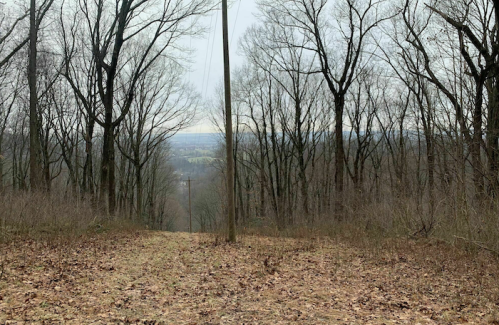 A view down a wooded path with bare trees and a distant landscape visible through the branches.
