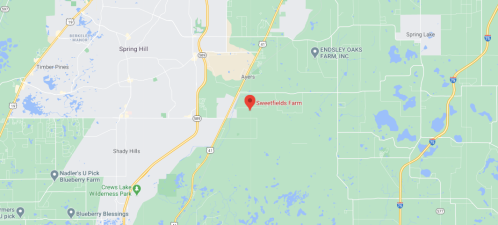 Map showing the location of SweetFields Farm near Spring Hill, Florida, with surrounding areas and roads labeled.