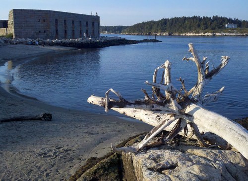 A serene coastal scene featuring a weathered log on the shore, with calm water and a stone building in the background.