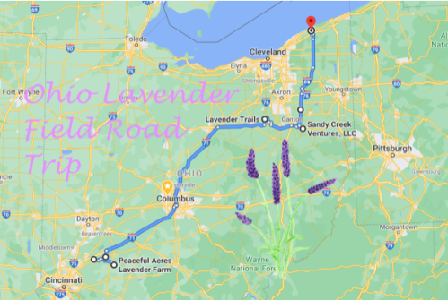 Map of Ohio highlighting a lavender field road trip route with key locations and lavender illustrations.
