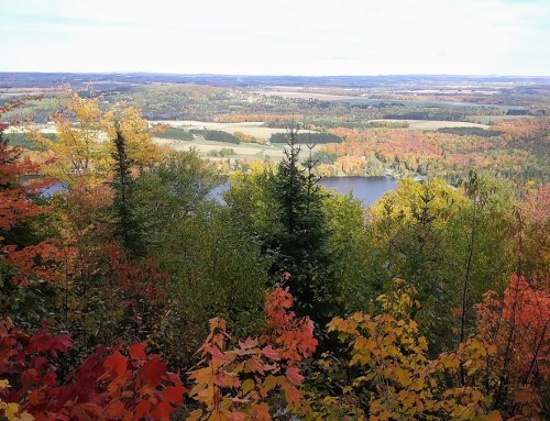 A scenic view from a mountain, showcasing vibrant autumn foliage and a serene lake surrounded by rolling hills.