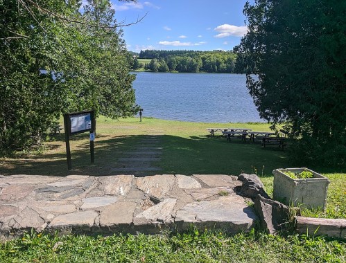 A serene lakeside view with grassy areas, picnic tables, and trees under a clear blue sky.