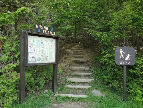 Sign for hiking trails with a map, next to a path leading into the woods and a 24/7 access sign.