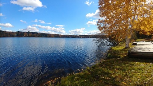 A serene lake scene with clear blue water, surrounded by autumn trees and a bright blue sky with fluffy clouds.