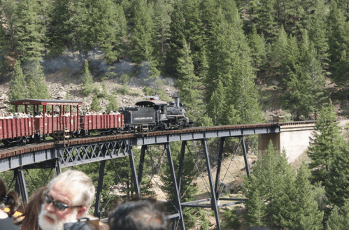 A vintage steam train crosses a bridge surrounded by lush green trees, with passengers visible in open cars.