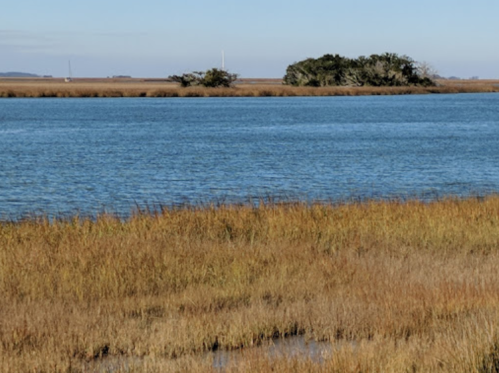 A serene landscape featuring a calm blue river, grassy banks, and a distant island with trees under a clear sky.
