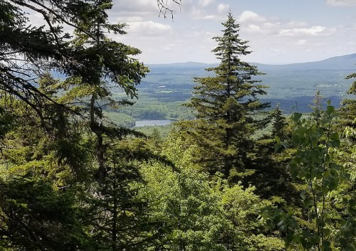 A scenic view of a lush green landscape with trees, mountains, and a lake under a partly cloudy sky.