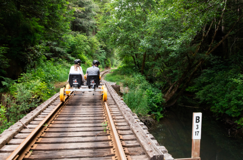 Two people ride a rail bike on wooden tracks surrounded by lush greenery and trees.