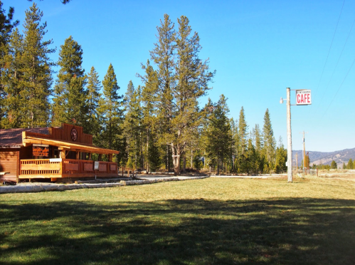 A rustic cafe building surrounded by tall pine trees and a clear blue sky, with a sign reading "CAFE."