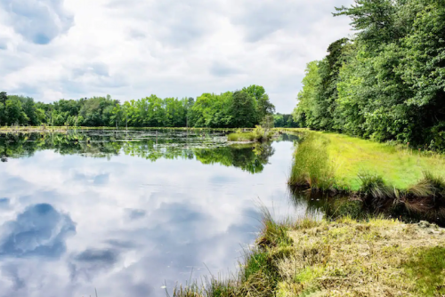 A serene landscape featuring a calm lake reflecting clouds and lush greenery along the shore.