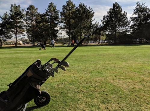 A golf bag with clubs in the foreground, with golfers playing in the background on a sunny day.
