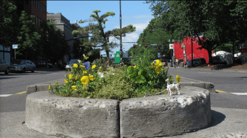 A small roundabout with colorful flowers and a toy horse, surrounded by city streets and buildings.