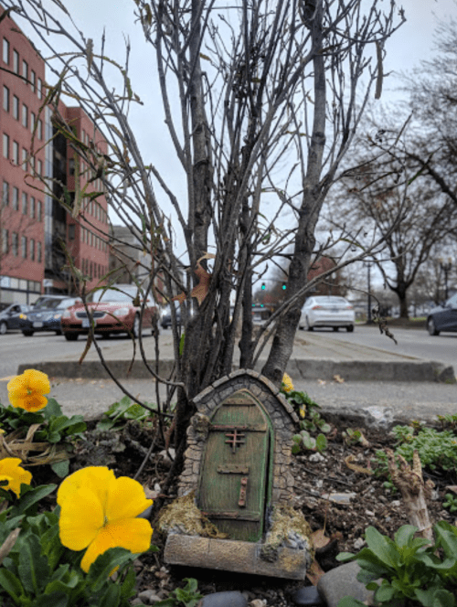 A small decorative door nestled among bare branches and yellow flowers in an urban setting.