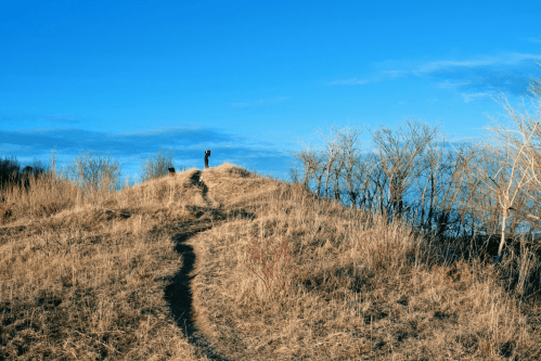 A person stands on a grassy hill under a clear blue sky, with a winding path leading up to them.