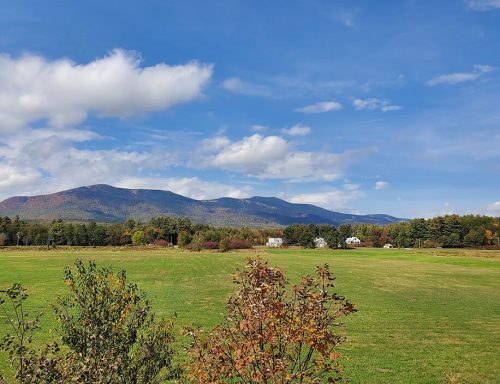 A scenic view of rolling mountains under a blue sky, with green fields and scattered trees in the foreground.