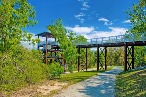 A scenic pathway leads to a wooden observation tower surrounded by lush greenery and a bright blue sky.