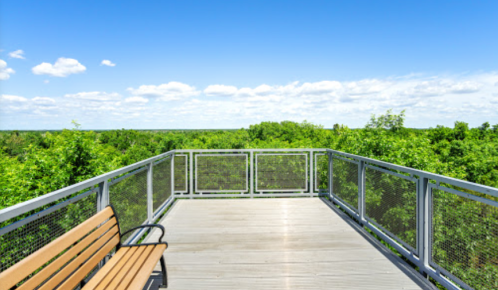 A wooden bench on a viewing platform overlooking a lush green landscape under a bright blue sky with clouds.