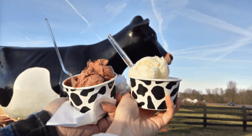 Two hands hold ice cream cups in front of a large black and white cow statue against a blue sky.
