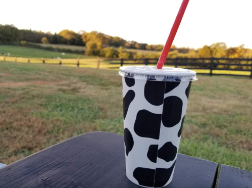 A cow-patterned cup with a red straw sits on a table, overlooking a grassy field and trees in the background.