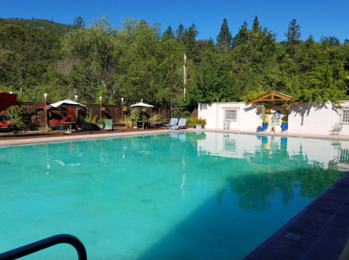 A serene outdoor pool surrounded by trees and lounge chairs, with a clear blue sky in the background.