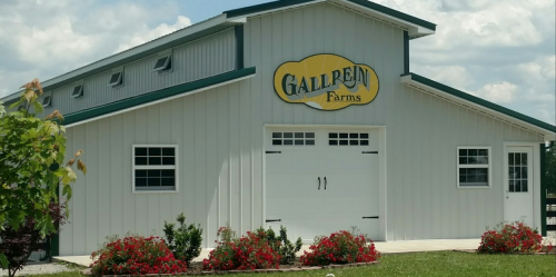 A white barn with a green roof and a sign reading "Gallrein Farms," surrounded by colorful flowers and grass.