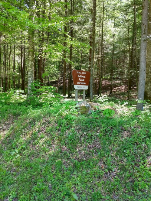 Sign for Daniel Boone National Forest, surrounded by lush greenery and trees.
