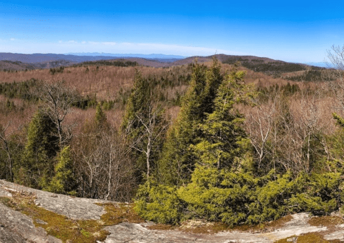 A panoramic view of a forested landscape with bare trees and distant mountains under a clear blue sky.