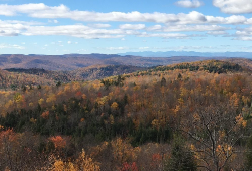 A panoramic view of colorful autumn foliage covering rolling hills under a blue sky with scattered clouds.