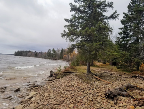 A rocky shoreline with a tree, waves lapping at the water's edge, and a cloudy sky in the background.