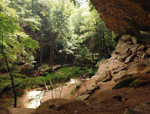 A lush forest scene with rocky terrain, trees, and a small group of people in a natural setting.