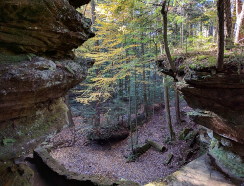 A serene forest scene with rocky cliffs, vibrant autumn foliage, and a peaceful stream below.