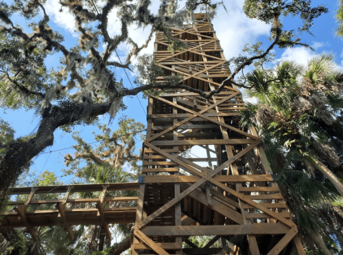 A tall wooden observation tower surrounded by trees and blue sky, with a walkway leading to it.