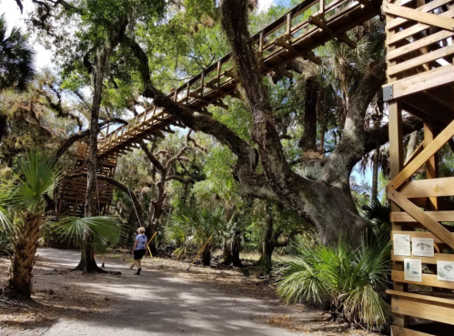 A person walks along a path beneath a wooden walkway suspended in lush greenery and trees.