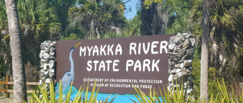 Sign for Myakka River State Park, featuring a blue background and surrounded by palm trees and natural vegetation.