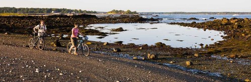 Two cyclists ride along a rocky shoreline at low tide, with calm water and trees in the background.