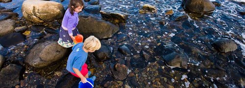 Two children play by a rocky stream, collecting water in buckets while exploring the water's edge.