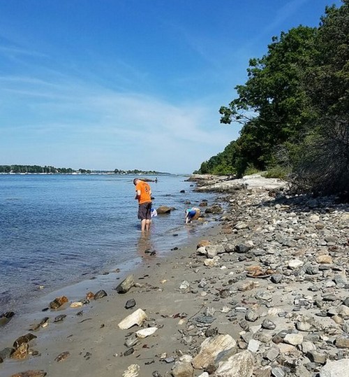 A person and a child explore a rocky beach by the water on a sunny day, with trees in the background.
