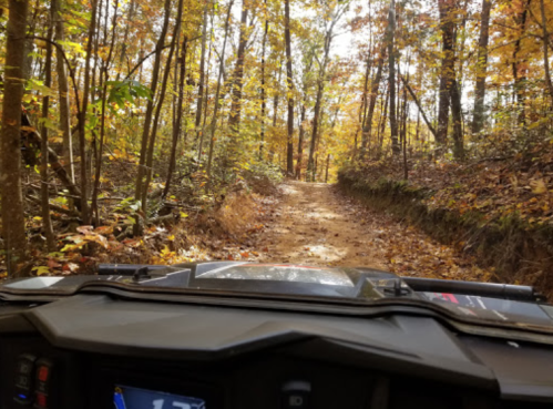 View from an ATV on a dirt trail surrounded by vibrant autumn foliage in a forest.