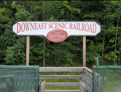 Sign for Downeast Scenic Railroad, surrounded by greenery, indicating a scenic train experience.
