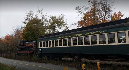 Two vintage train cars from the Downeast Scenic Railroad, surrounded by autumn foliage and a cloudy sky.